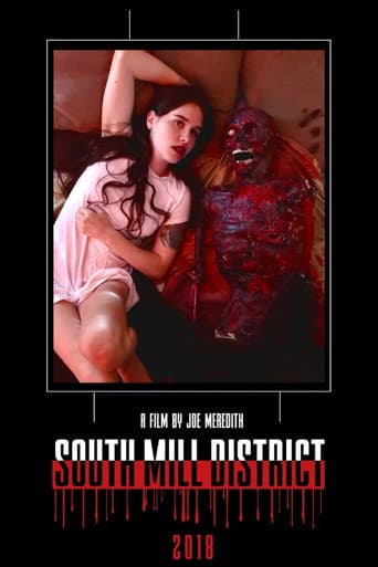 South Mill District poster