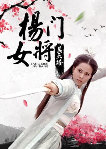 杨门女将之昊天塔 poster
