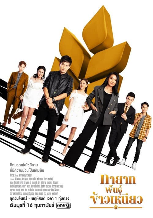 Family Harmony poster