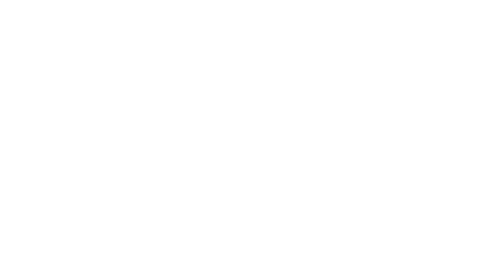 Donald's Nephews