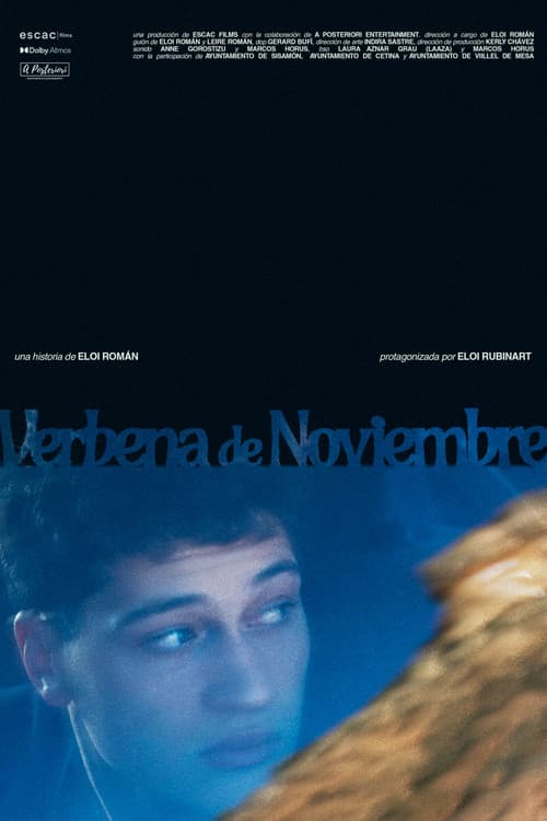 Verbena de noviembre poster