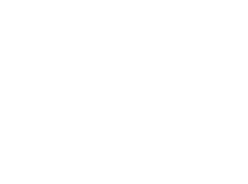 Beautiful Creatures