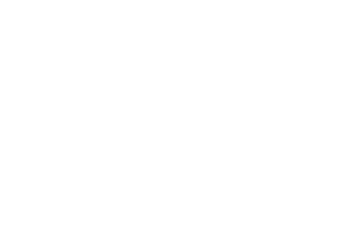 Double Helix