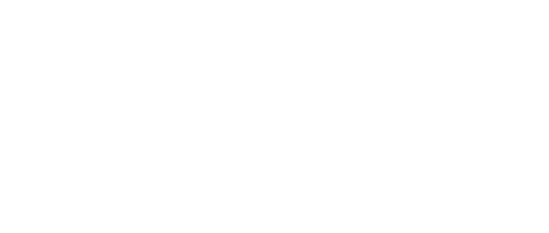 The Invincible Fist
