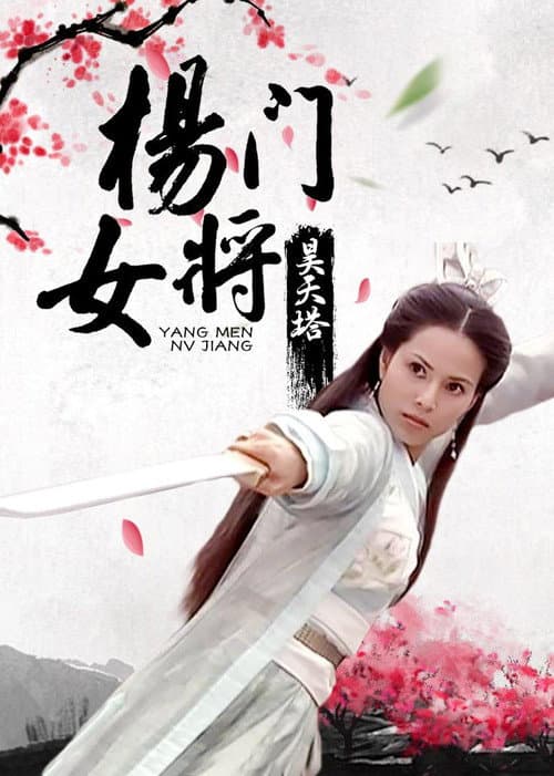 杨门女将之昊天塔 poster